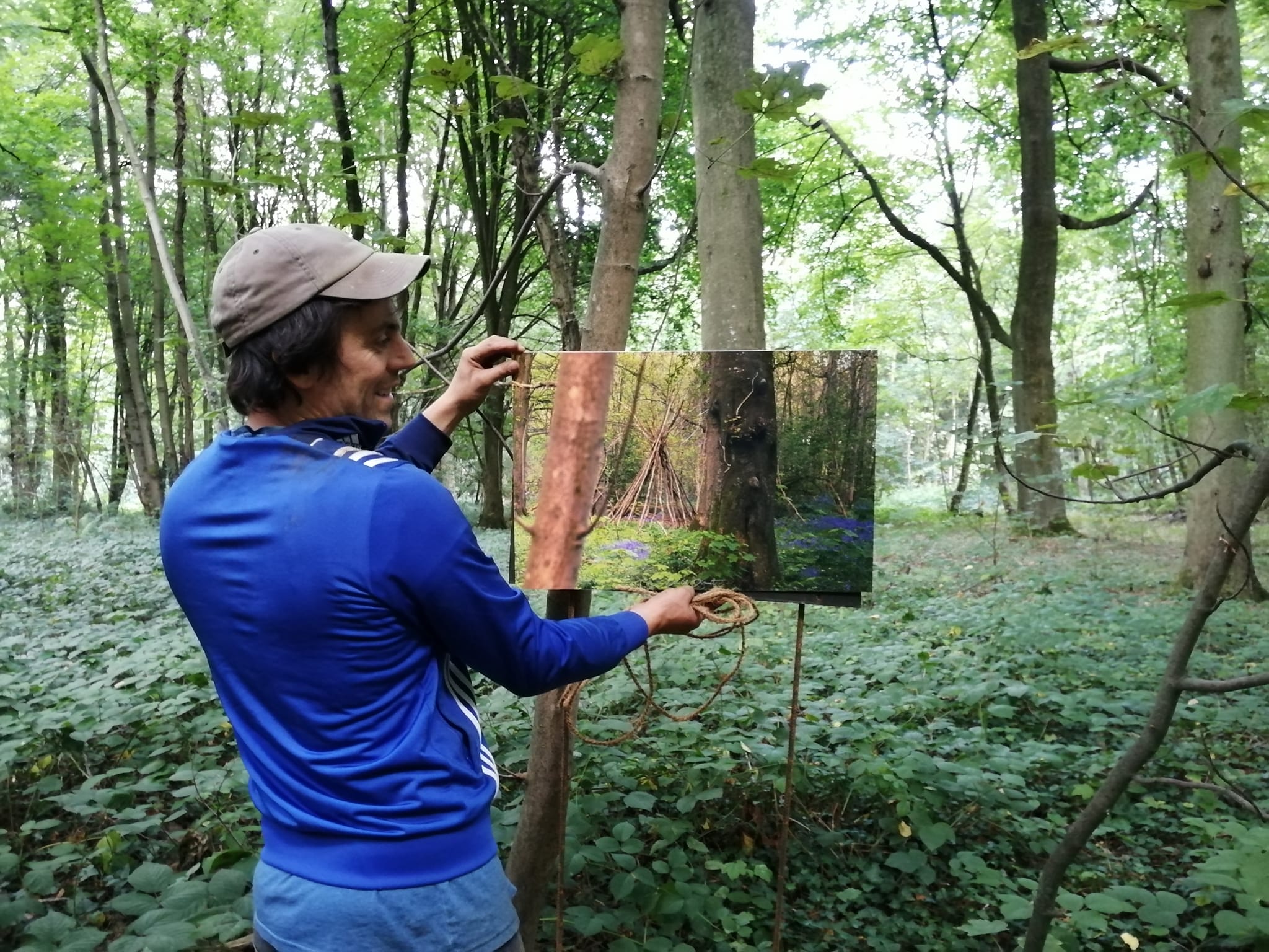 Liliaceae, trompe-l'œil en forêt